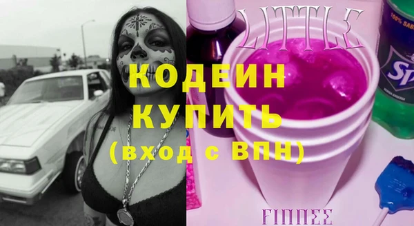 молекула духа Вяземский