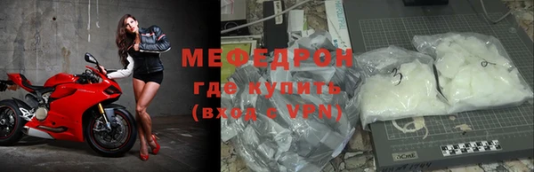 молекула духа Вяземский