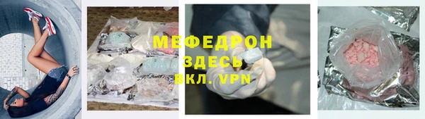 молекула духа Вяземский