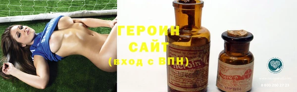 молекула духа Вяземский