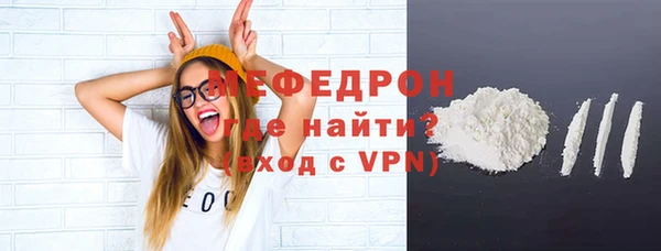 молекула духа Вяземский