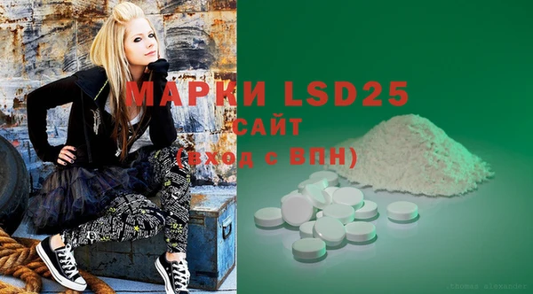 PSILOCYBIN Вязьма