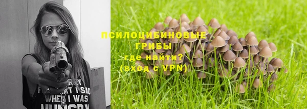 гидропоника Александровское