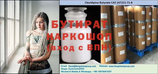 молекула духа Вяземский