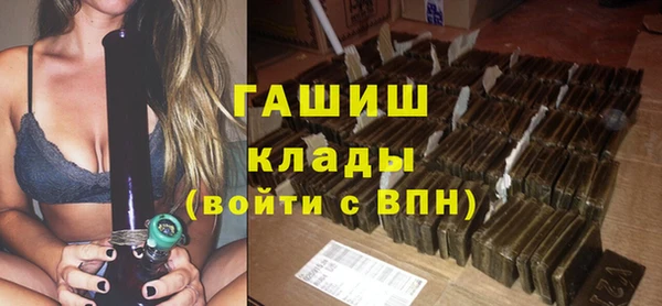 молекула духа Вяземский
