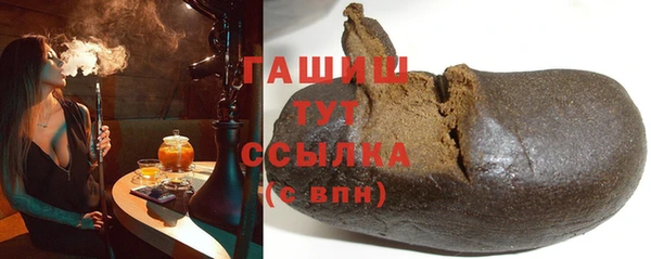 молекула духа Вяземский