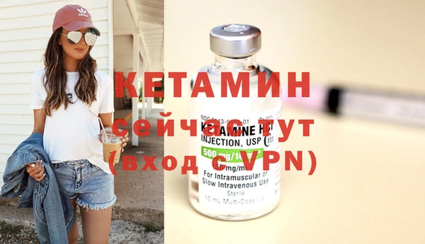 молекула духа Вяземский